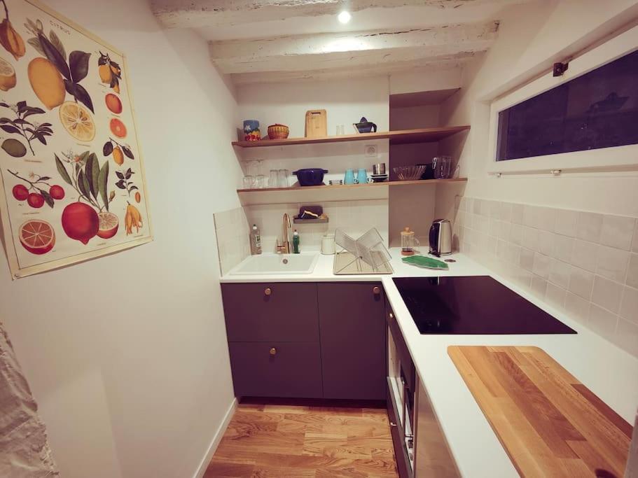 Magnifique Appartement Refait A Neuf Vieux Tours Eksteriør billede