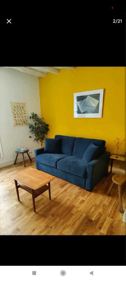 Magnifique Appartement Refait A Neuf Vieux Tours Eksteriør billede